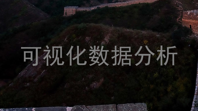 可视化数据分析
