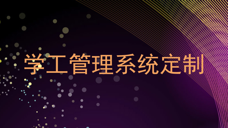 学工管理系统定制