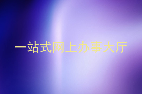 一站式网上办事大厅
