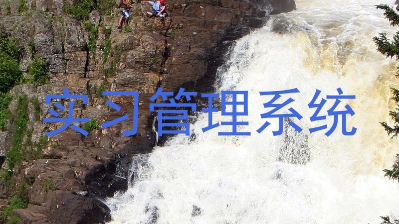 实习管理系统