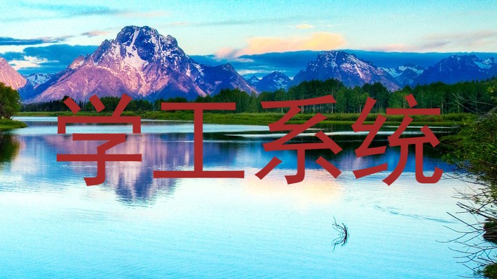 学工系统