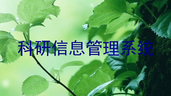 科研信息管理系统