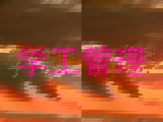 学工管理