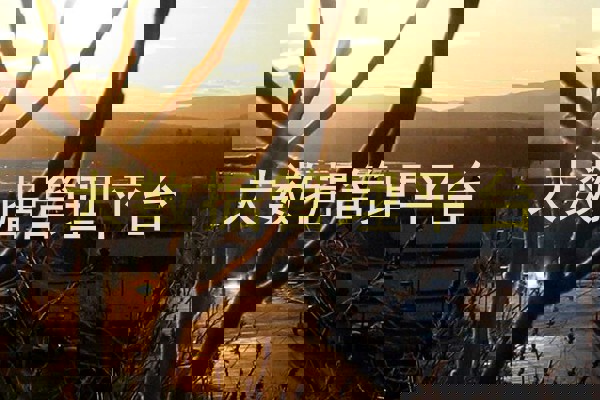 大数据管理平台