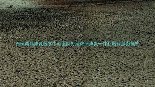 西安国际康复医学中心医院打造临床康复一体化医疗服务模式