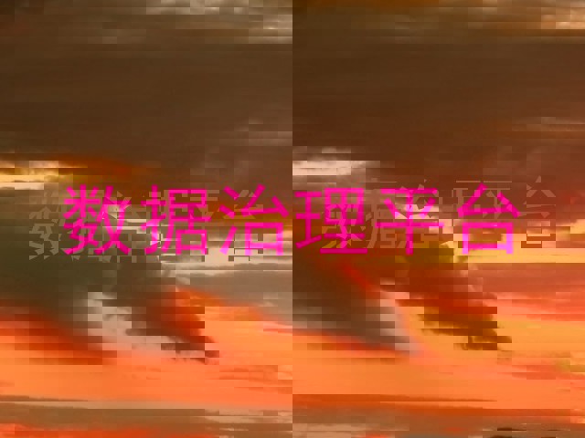 数据治理平台