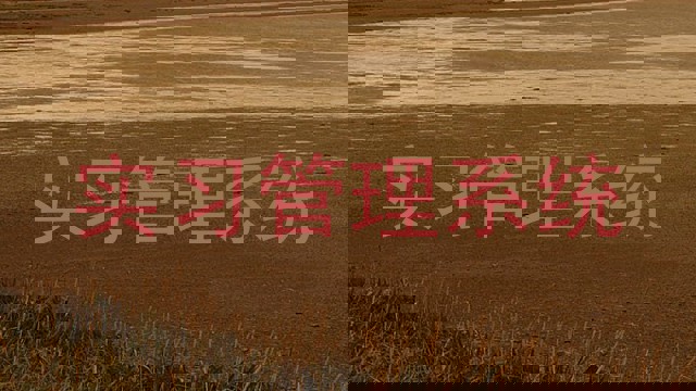 实习管理系统