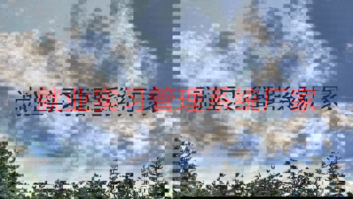 就业实习管理系统厂家