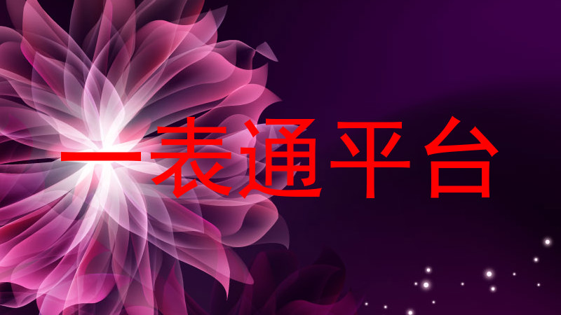 一表通平台