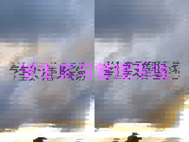 学生实习管理系统