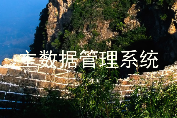 主数据管理系统