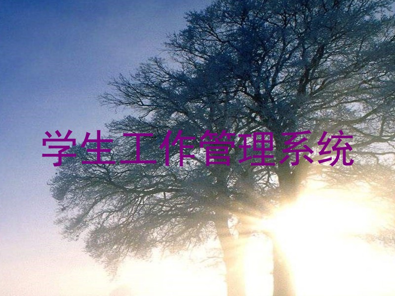 学生工作管理系统