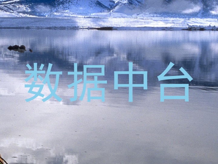 数据中台
