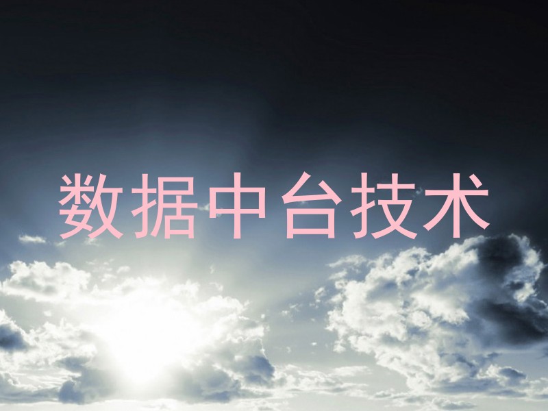 数据中台技术