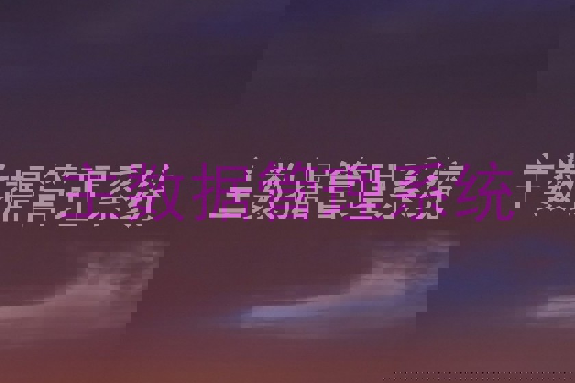 主数据管理系统