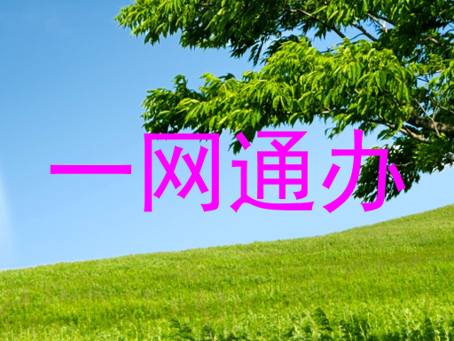 一网通办