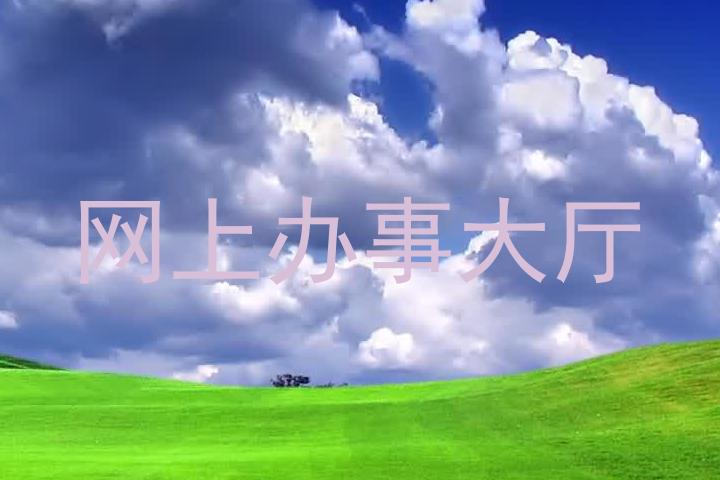 网上办事大厅