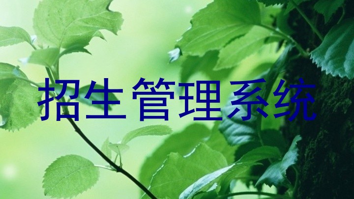 招生管理系统