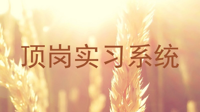 顶岗实习系统