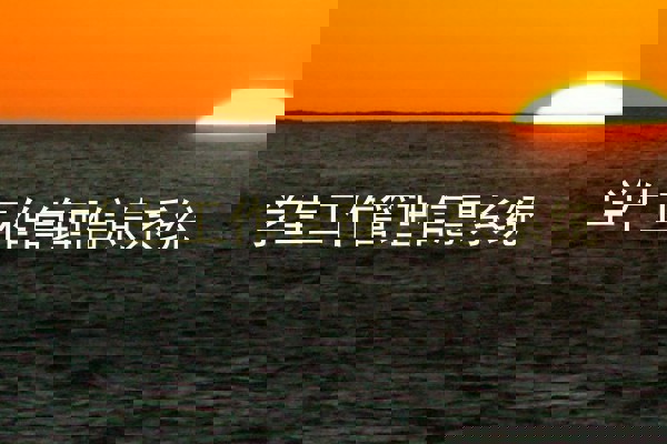 学生工作管理信息系统