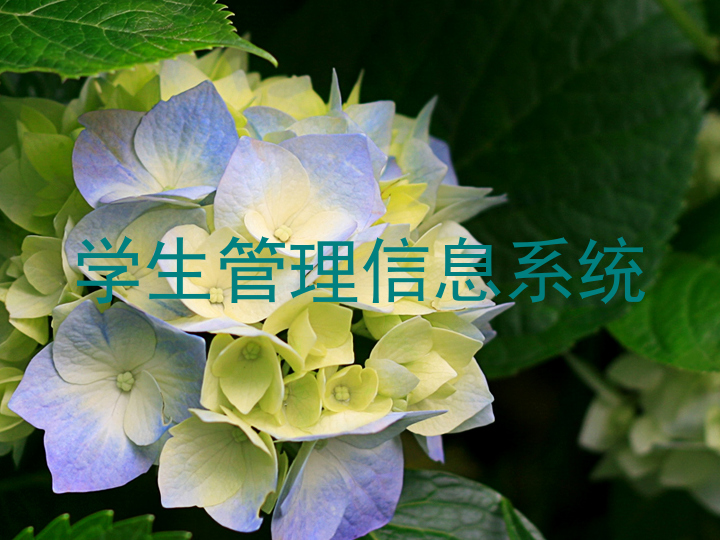 学生管理信息系统