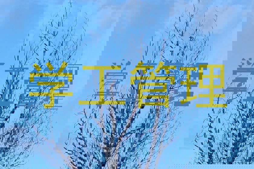 学工管理