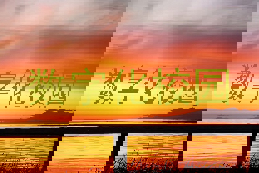 数字化校园