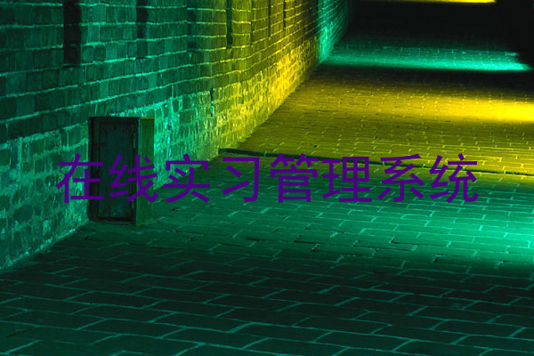 在线实习管理系统