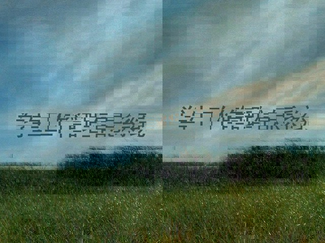 学生工作管理信息系统