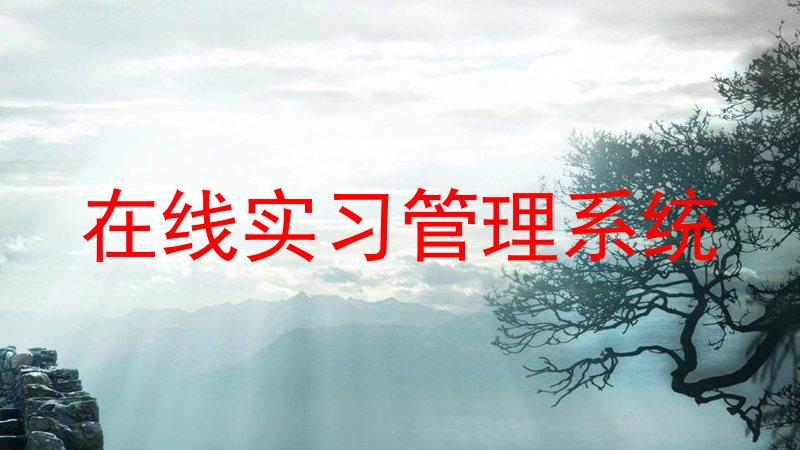 在线实习管理系统