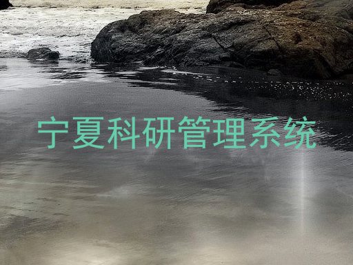 宁夏科研管理系统