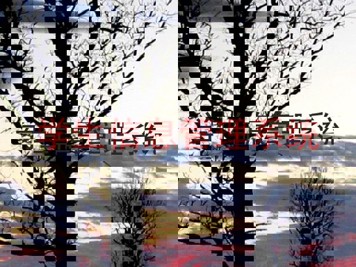 学生信息管理系统