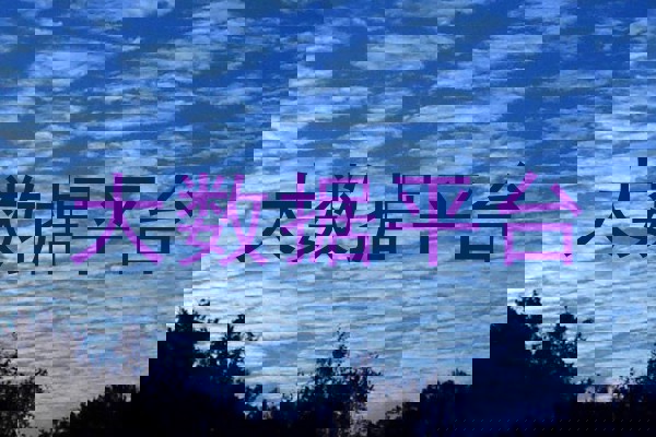 大数据平台