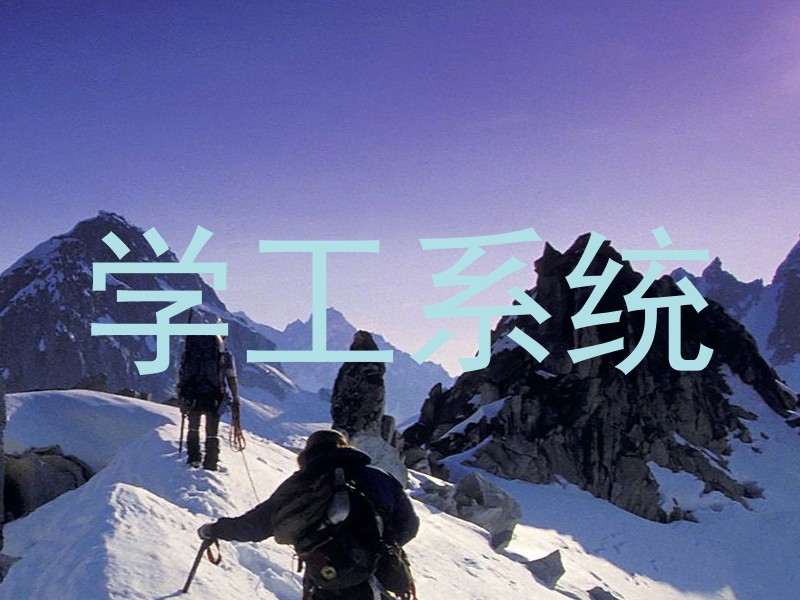学工系统