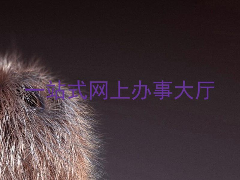 一站式网上办事大厅