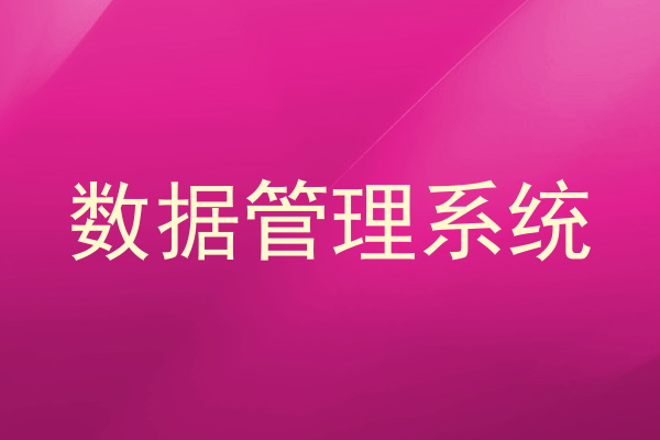 数据管理系统