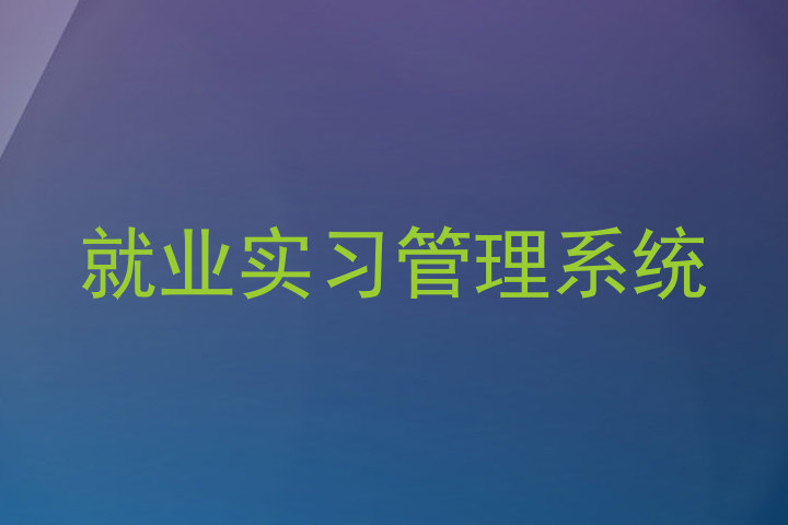 就业实习管理系统