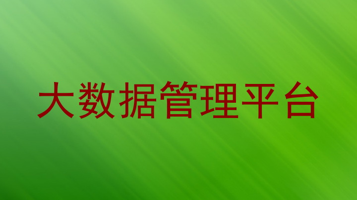 大数据管理平台