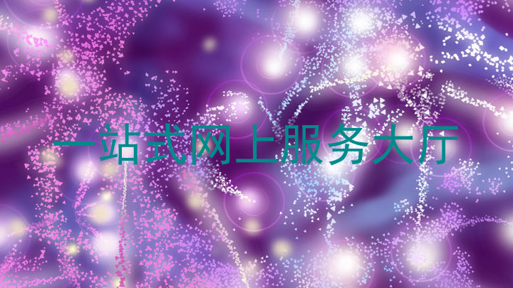 一站式网上服务大厅