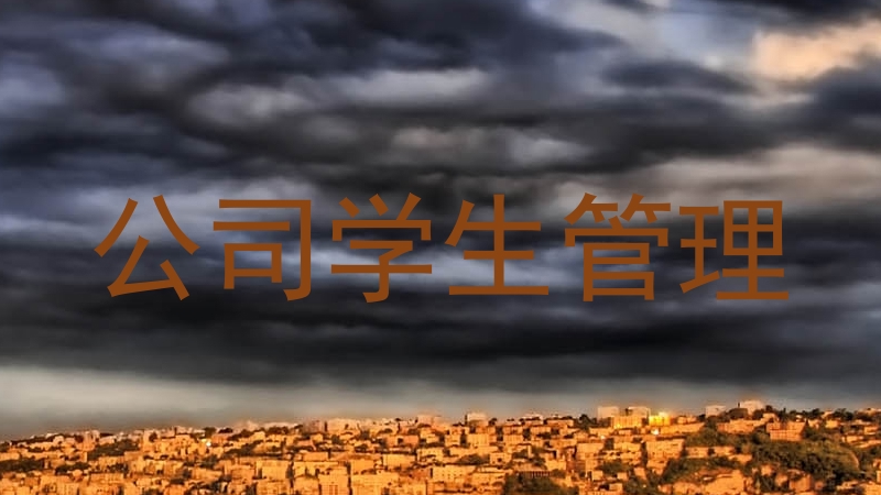 公司学生管理