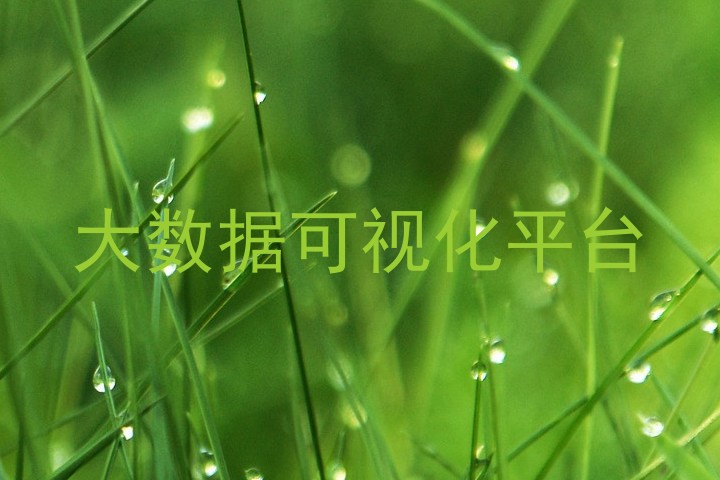 大数据可视化平台