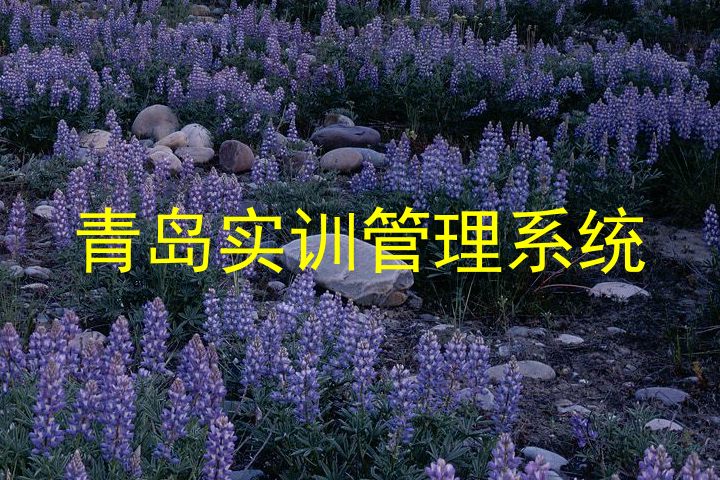 青岛实训管理系统