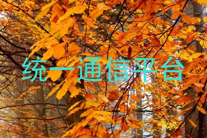 統(tǒng)一通信平臺