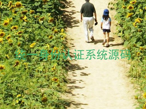 统一身份认证系统源码