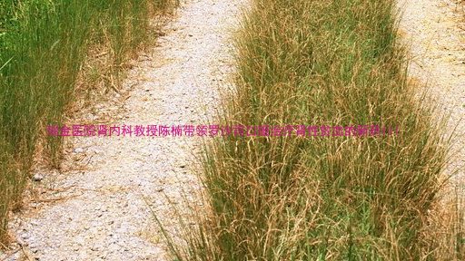 瑞金医院肾内科教授陈楠带领罗沙司口服治疗肾性贫血的新药III