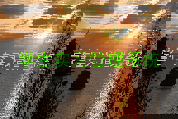 学生实习管理系统