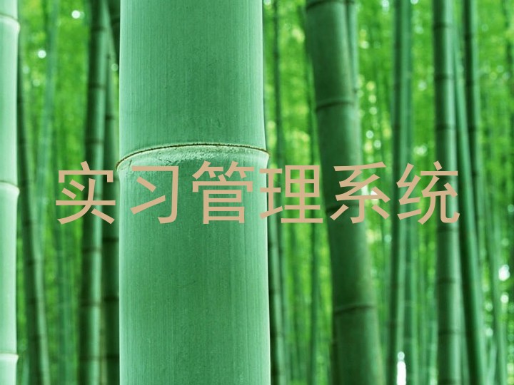 实习管理系统