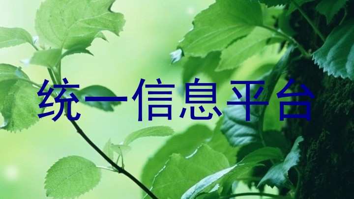 統(tǒng)一信息平臺(tái)