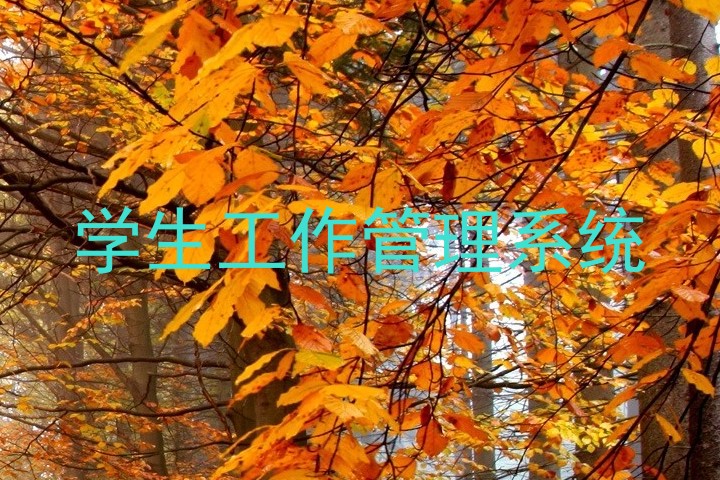 学生工作管理系统