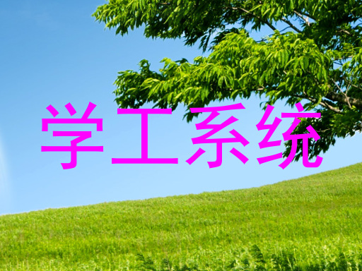 学工系统